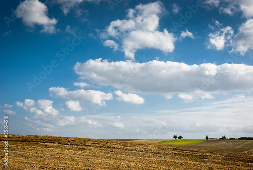 agricultural field