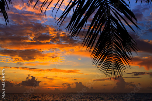 Maldivian Sunset