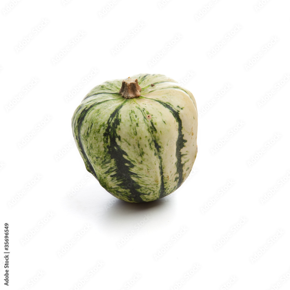 Cucurbita Pepo #4 Cucurbita Pepo #4