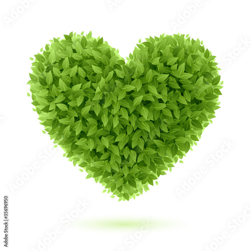 Heart symbol in green leaves