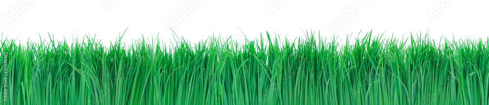 Naklejka Bezszwowa zielona trawa.
