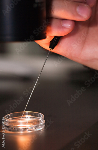In Vitro Lab Equipment