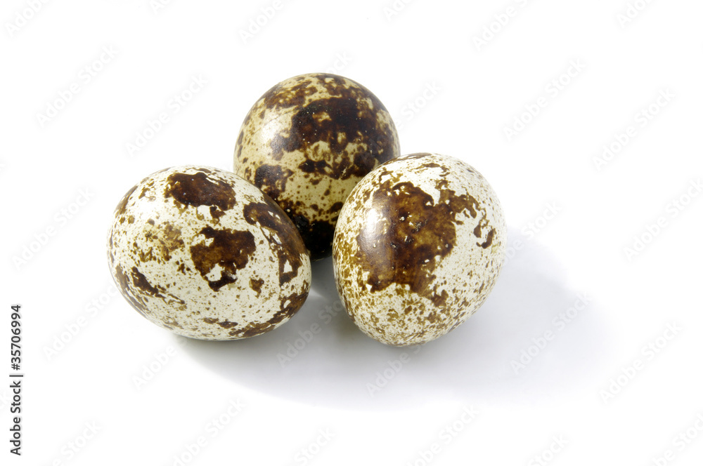 Quail eggs on white Quail eggs on white