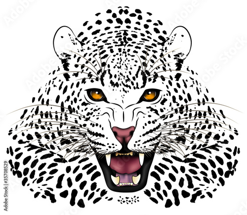 Leopard, tattoo