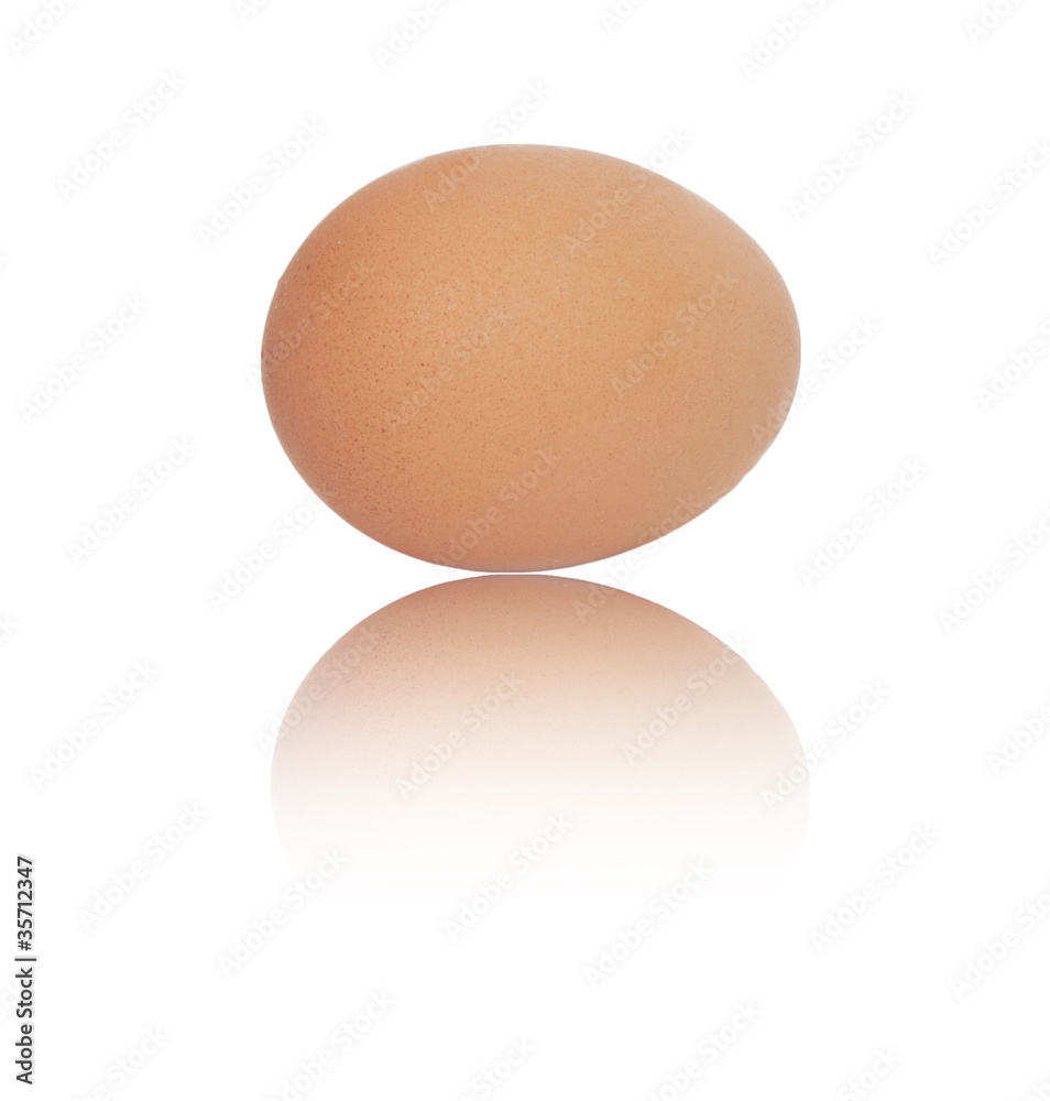 One egg on white background One egg on white background