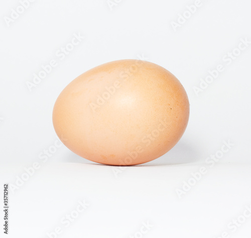 One egg on white background