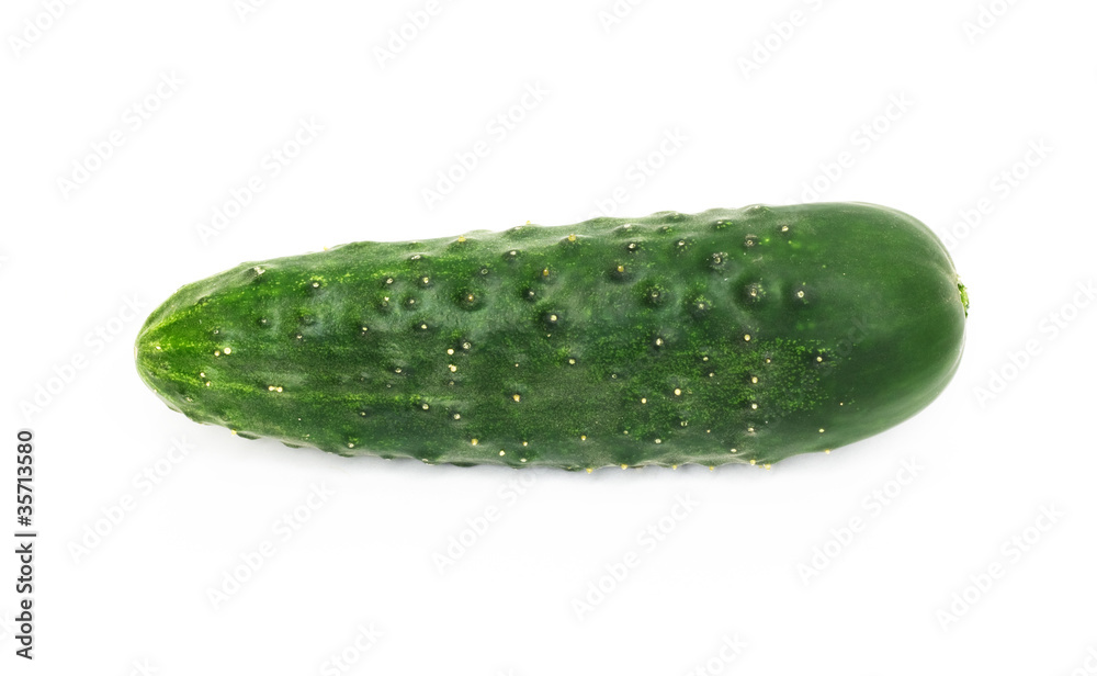 green cucumber, isolated on white background green cucumber, isolated on white background
