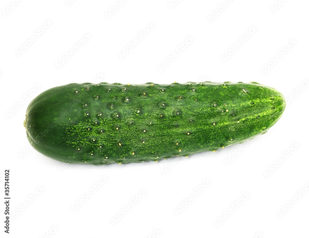 green cucumber, isolated on white background green cucumber, isolated on white background