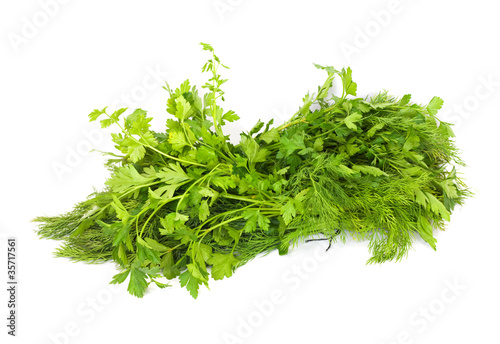 dill and parsley isolated on a white background
