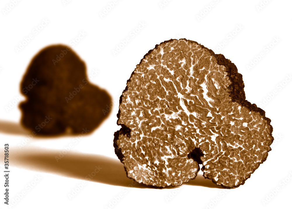 section of black truffle section of black truffle