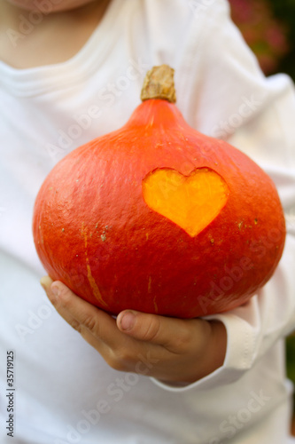 Kürbis Liebe