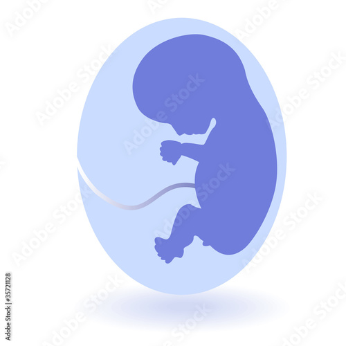 Canvas-taulu X-ray and fetus