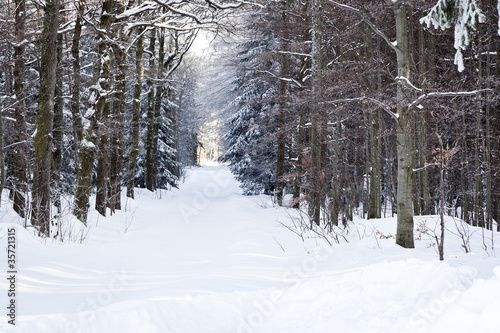 winter scenery © magann