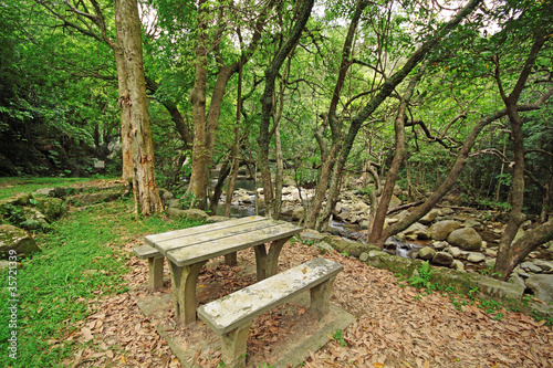 Picnic place in forest