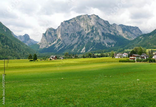 Alps mountain meadow tranquil summer view.