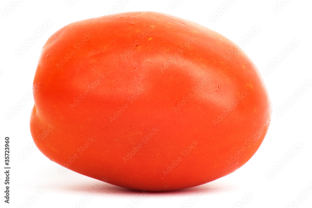tomato . macro tomato . macro