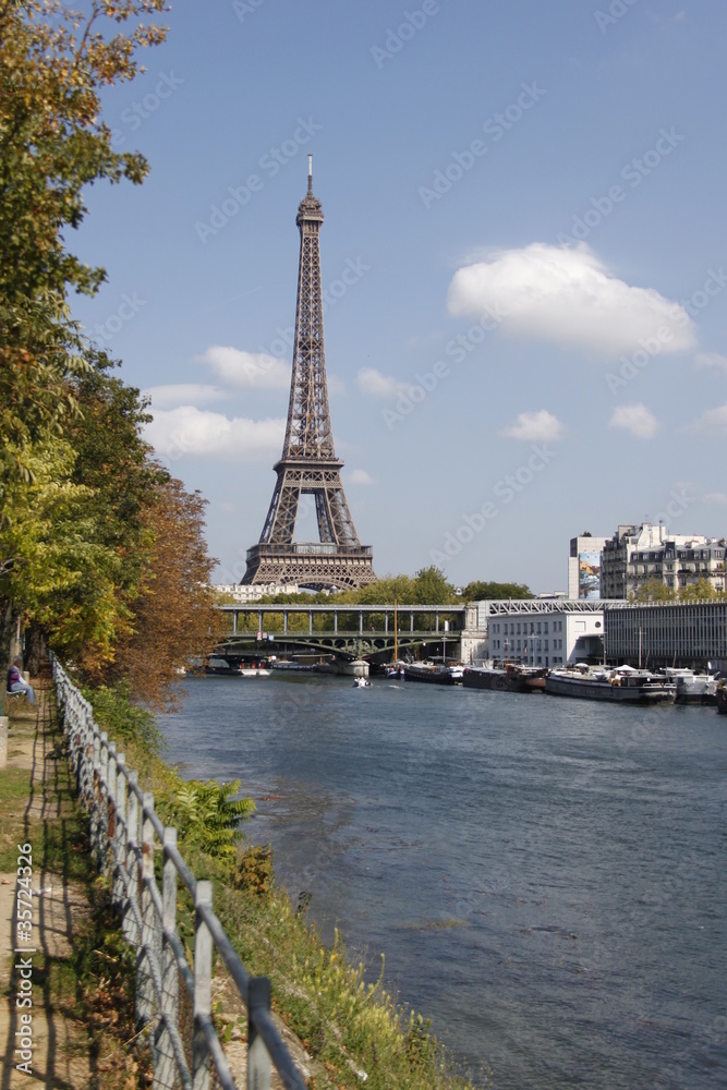 Fototapeta premium La Tour Eiffel vue depuis l'île aux Cygnes à Paris