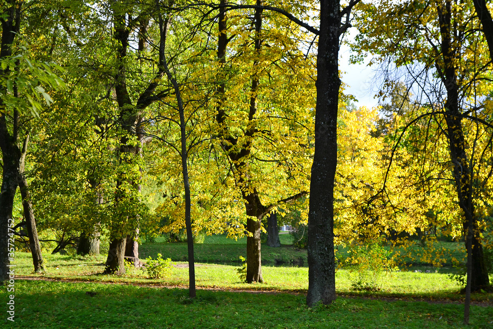 Autumn park