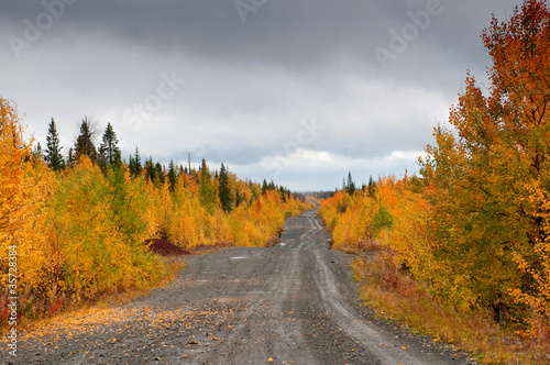 Wild mountain road in deep taiga forest, Komi region, Russia.