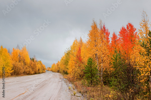 Wild mountain road in deep taiga forest, Komi region, Russia.