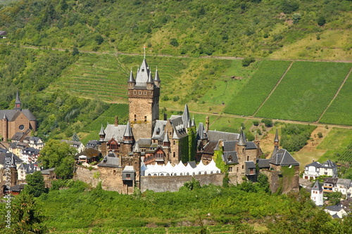 Medieval castle among green fields