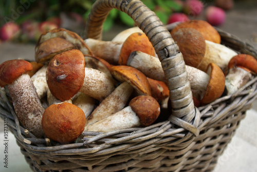 Basket with mushrooms aspen