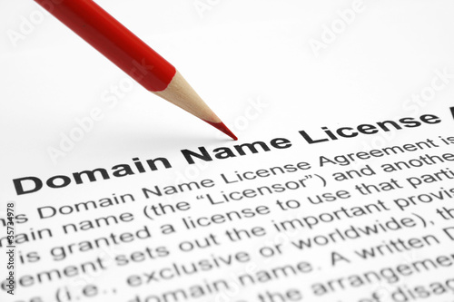 Domain name license