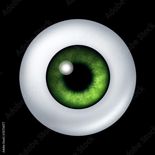 Photography Human green eye ball organ