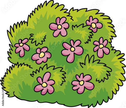 bush with flowers