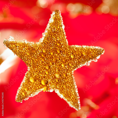 christmas golden drops star in red