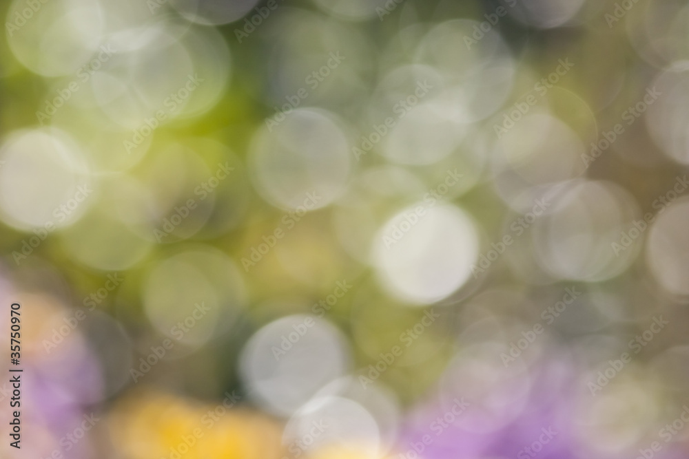 Obraz premium natural bokeh background