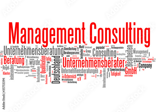 Management Consulting