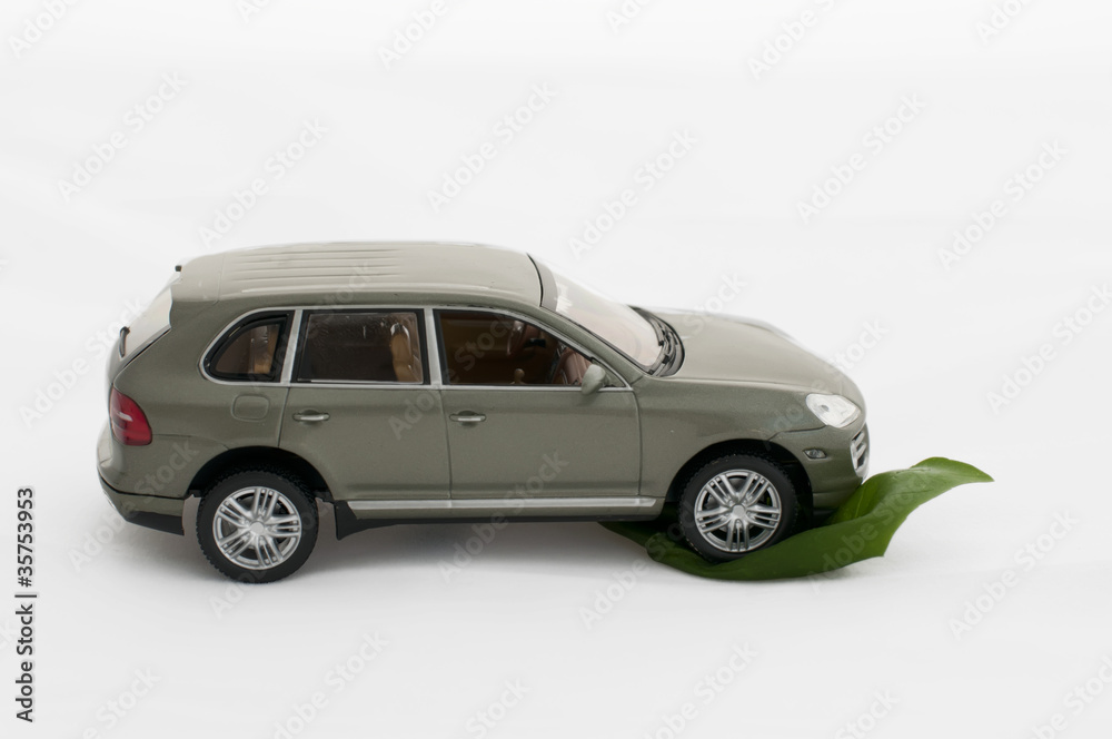 Green leave and a car.Ecology conception