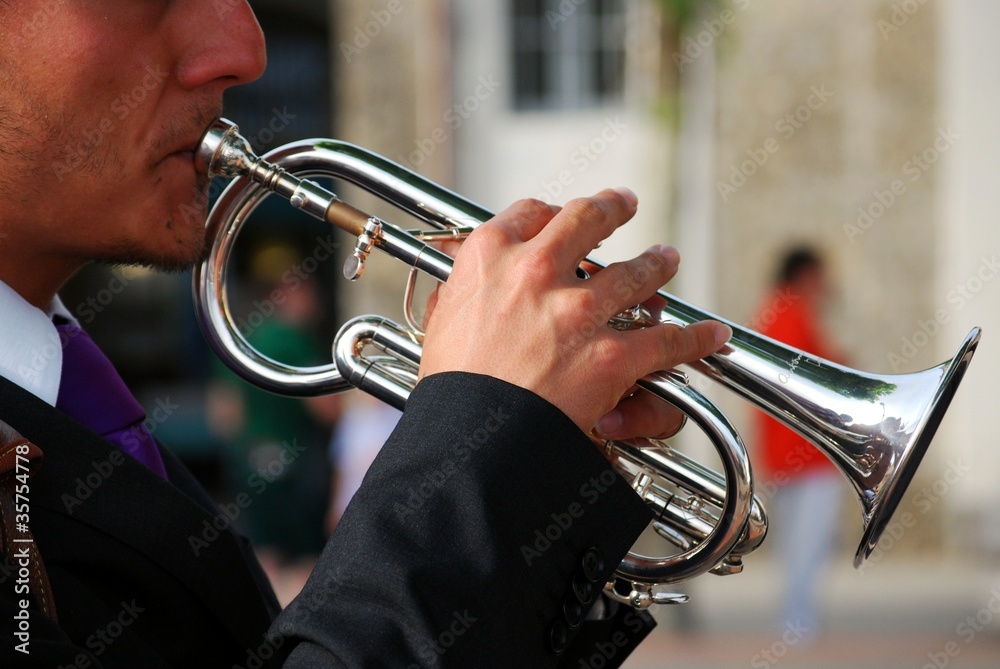 Obraz premium trumpet