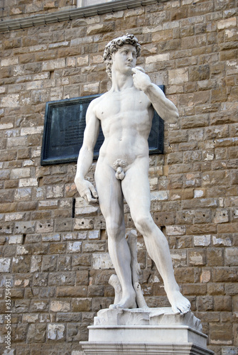 David Statue photo