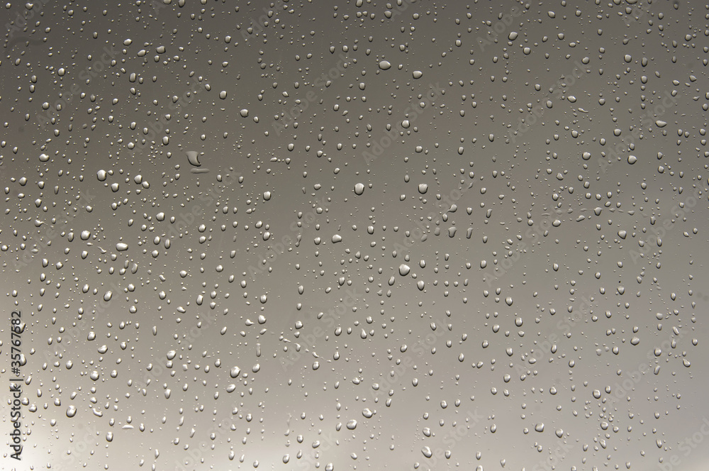 rain drops on the glass rain drops on the glass