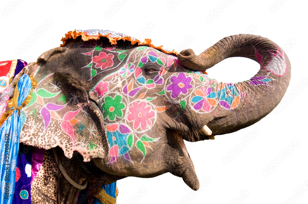 Naklejka premium Colorful hand painted elephant , Holi festival , Jaipur, Rajasthan, India 