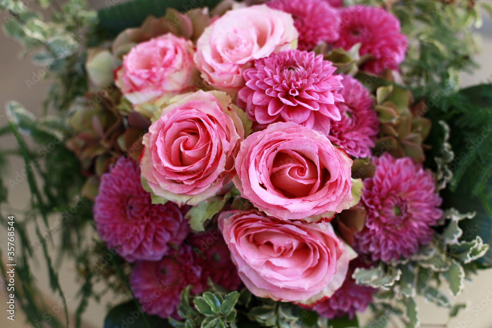 Beautiful blooming pink flowers