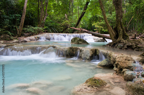 Fototapeta Naklejka Na Ścianę i Meble -  Stream in the Tropical Forest