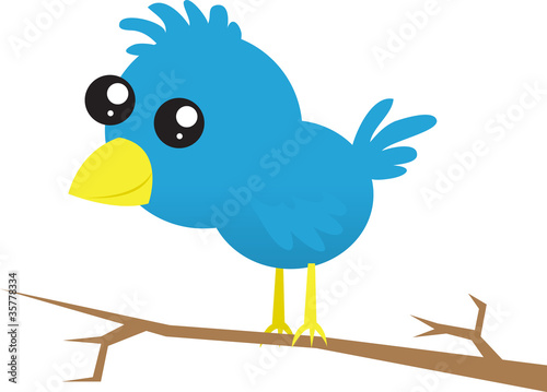 Blue bird standing on a branch.
