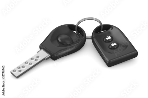 Automobile key and alarm sy...