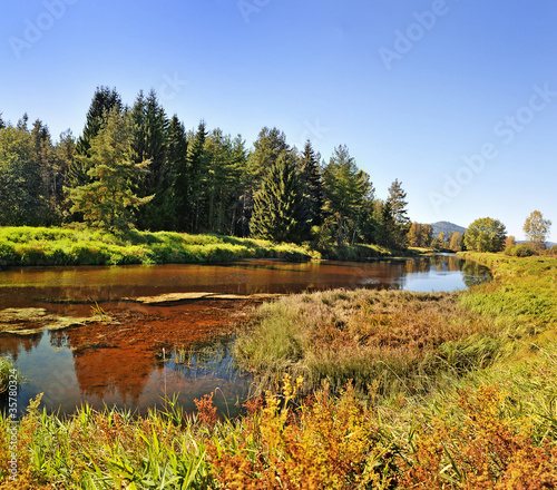 Fototapeta Naklejka Na Ścianę i Meble -  autumn river Vltava in national park Sumava Czech republic