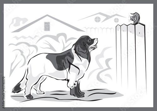 Landseer dog and kitten