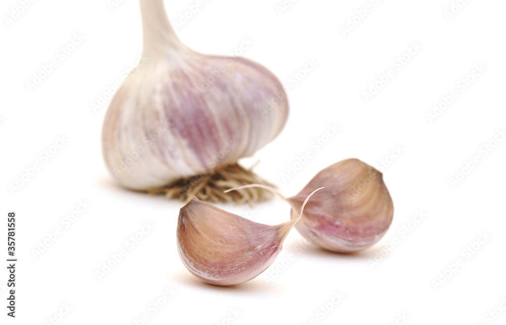 Obraz premium Garlic vegetable closeup
