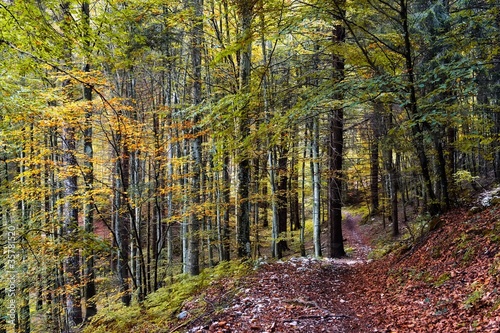 Autunno photo