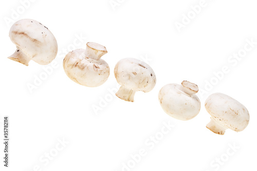 Fresh, tasty mushrooms isolated over white background.