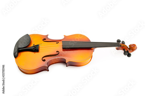 Violin isolated on the white