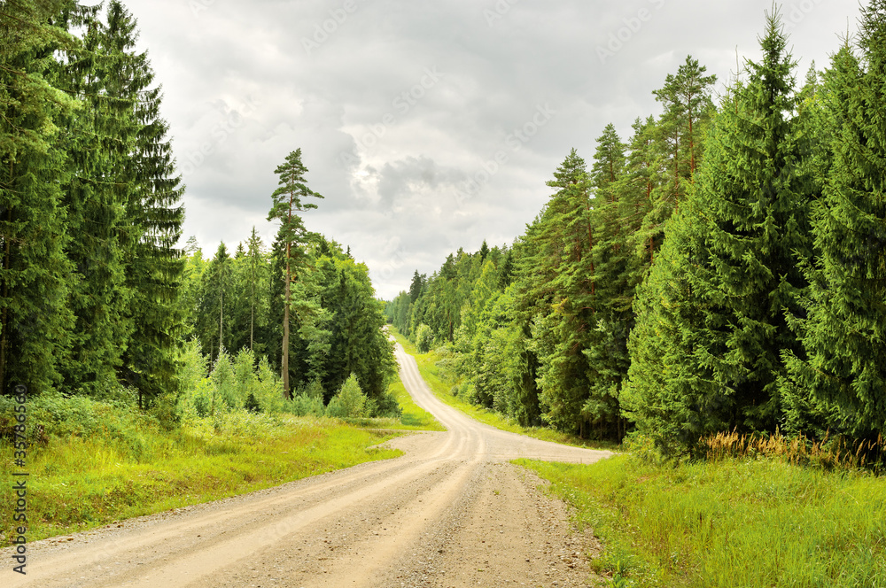 Fototapeta premium Country road.