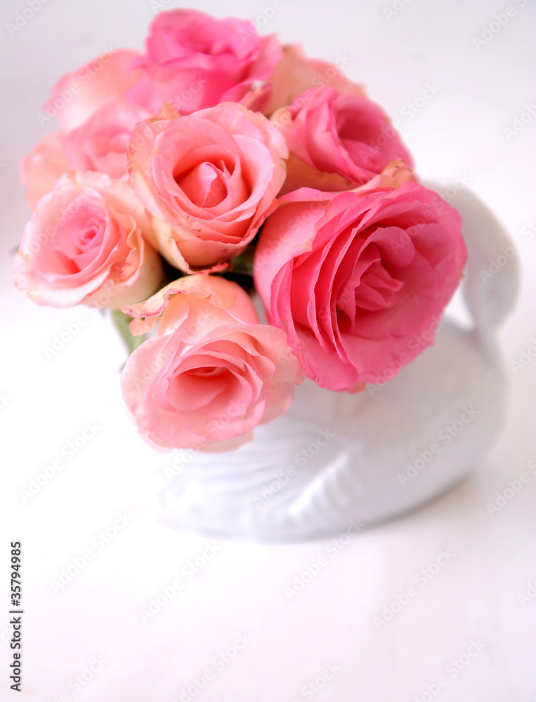 Fototapeta premium Bouquet of white and pink roses in the pot