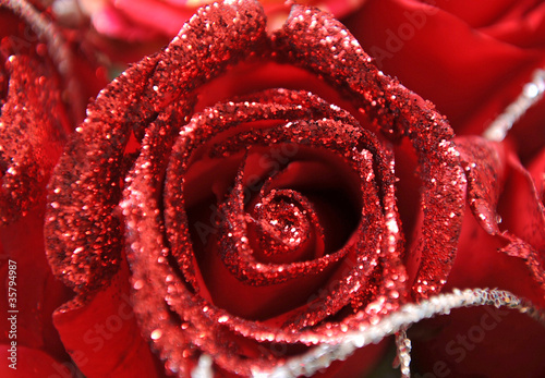 Fototapeta Naklejka Na Ścianę i Meble -  beautiful close up Red rose with diamond